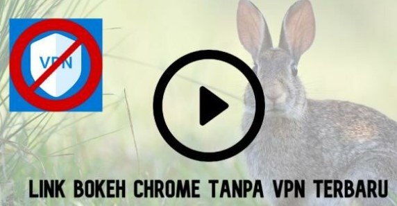 Link Bokeh Chrome Tanpa VPN 2023 Link Bokeh Chrome Tanpa VPN 2023